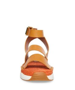 Attireartisan.shop1d491a15f1 3