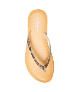 Attireartisan.shopd7917d284a 4